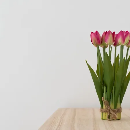 Casa Petra Santa Maria de Guia de Gran Canaria