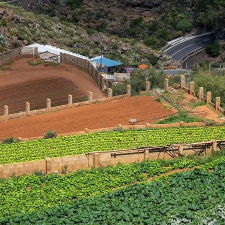 Casa Petra Dom wakacyjny