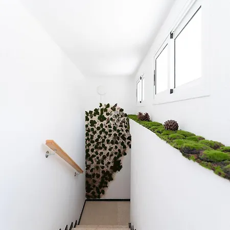 Casa Petra Santa Maria de Guia de Gran Canaria