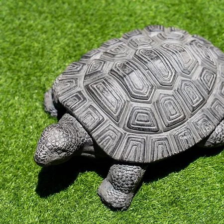 Casa Petra Dom wakacyjny