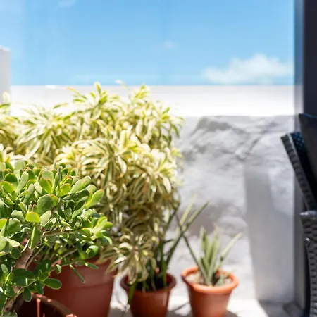 Casa Petra * Santa Maria de Guia de Gran Canaria