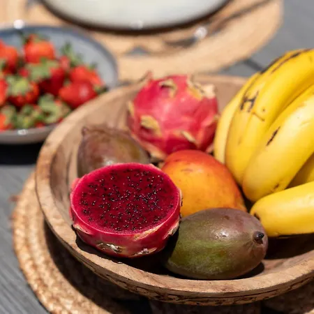 Casa Petra Dom wakacyjny Santa Maria de Guia de Gran Canaria